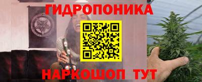 прущие крисы Кулебаки