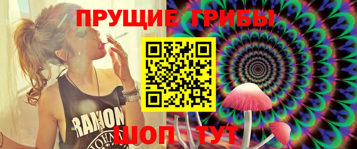 Псилоцибиновые грибы GOLDEN TEACHER  Псилоцибиновые грибы Psilocybe  Бутурлиновка  Вход с VPN 