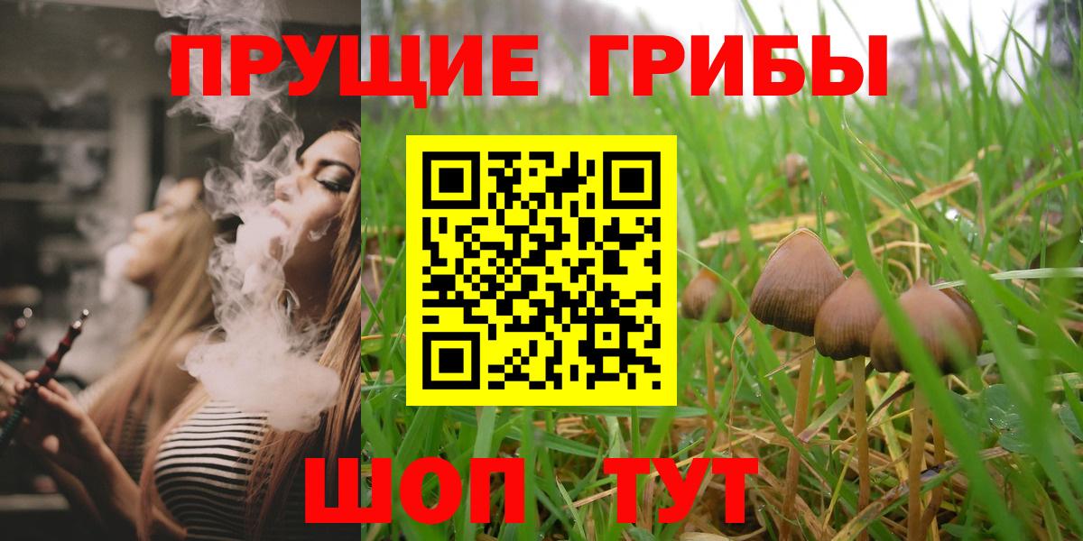 Галлюциногенные грибы ЛСД Бутурлиновка